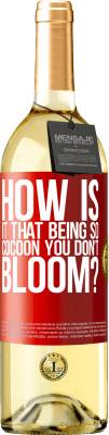 29,95 € Free Shipping | White Wine WHITE Edition how is it that being so cocoon you don't bloom? Red Label. Customizable label Young wine Harvest 2025 Verdejo