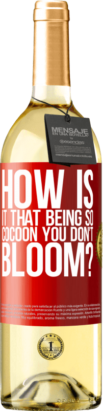 29,95 € Free Shipping | White Wine WHITE Edition how is it that being so cocoon you don't bloom? Red Label. Customizable label Young wine Harvest 2023 Verdejo