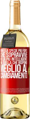 29,95 € Spedizione Gratuita | Vino bianco Edizione WHITE Non è la specie più forte che sopravvive, né la più intelligente, ma quella che risponde meglio al cambiamento Etichetta Rossa. Etichetta personalizzabile Vino giovane Raccogliere 2025 Verdejo