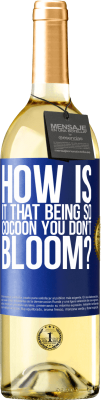 29,95 € Free Shipping | White Wine WHITE Edition how is it that being so cocoon you don't bloom? Blue Label. Customizable label Young wine Harvest 2024 Verdejo