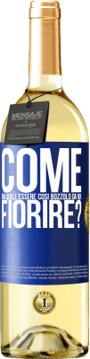 29,95 € Spedizione Gratuita | Vino bianco Edizione WHITE come mai quell'essere così bozzolo da non fiorire? Etichetta Blu. Etichetta personalizzabile Vino giovane Raccogliere 2025 Verdejo