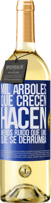 Reflexiones
