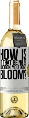 29,95 € Free Shipping | White Wine WHITE Edition how is it that being so cocoon you don't bloom? White Label. Customizable label Young wine Harvest 2024 Verdejo