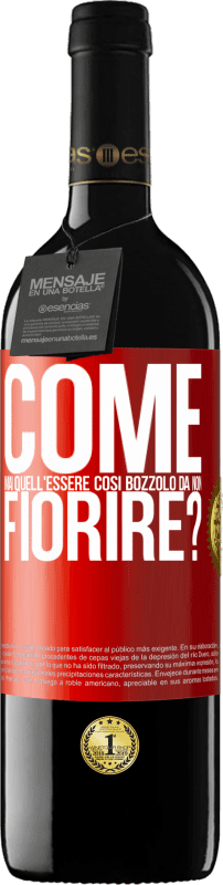 39,95 € Spedizione Gratuita | Vino rosso Edizione RED MBE Riserva come mai quell'essere così bozzolo da non fiorire? Etichetta Rossa. Etichetta personalizzabile Riserva 12 Mesi Raccogliere 2015 Tempranillo