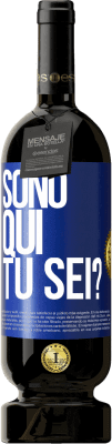 49,95 € Spedizione Gratuita | Vino rosso Edizione Premium MBS® Riserva Sono qui. Tu sei? Etichetta Blu. Etichetta personalizzabile Riserva 12 Mesi Raccogliere 2016 Tempranillo