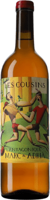17,95 € Envoi gratuit | Vin Rosé Les Cousins L'Antagonique D.O.Ca. Priorat Catalogne Espagne 75 cl