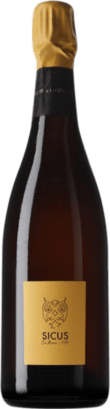 37,95 € 免费送货 | 白起泡酒 Sicus Cru, Ancestral — 古法 D.O. Penedès 加泰罗尼亚 西班牙 75 cl