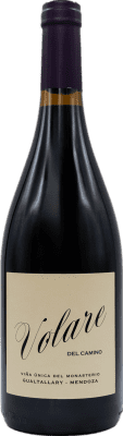 185,95 € Envio grátis | Vinho Tinto PerSe Volare del Camino I.G. Mendoza Mendoza Argentina Malbec 75 cl