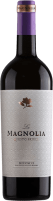 17,95 € Envoi gratuit | Vin Rouge La Magnolia Italie Refosco 75 cl