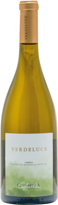 33,95 € Envio grátis | Vinho Branco Falesco Verdeluce Itália 75 cl