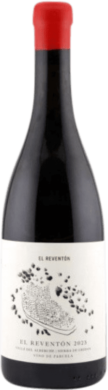 99,95 € 免费送货 | 红葡萄酒 El Reventón D.O. Vinos de Madrid 马德里社区 西班牙 75 cl