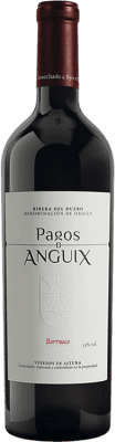 85,95 € 免费送货 | 红葡萄酒 Pagos de Anguix Barrueco D.O. Ribera del Duero 卡斯蒂利亚莱昂 西班牙 大瓶 — Magnum 1,5 L