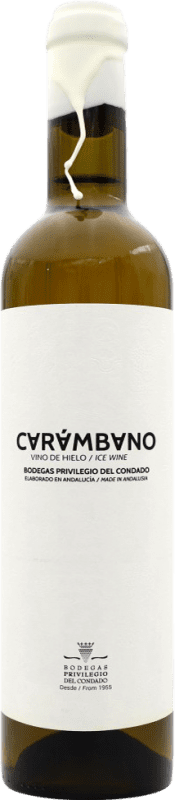 17,95 € Spedizione Gratuita | Vino di Ghiaccio Carámbano Spagna Bottiglia Medium 50 cl