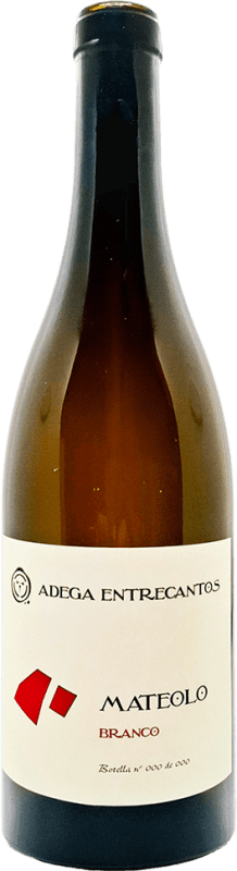 29,95 € 送料無料 | 白ワイン Entrecantos Mateolo Seco — 辛口 ガリシア スペイン Godello — ゴデーリョ, Albarín — アルバリン 75 cl