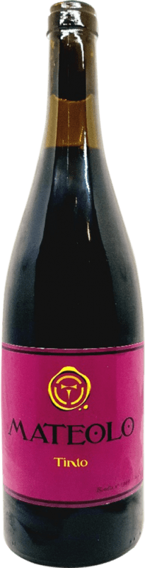 24,95 € 送料無料 | 赤ワイン Entrecantos Mateolo Seco — 辛口 ガリシア スペイン Mencía — メンシア 75 cl