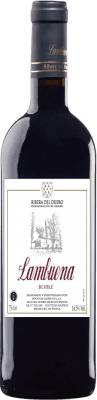 14,95 € 送料無料 | 赤ワイン Lambuena Seco — 辛口 オーク D.O. Ribera del Duero カスティーリャ・イ・レオン スペイン Tempranillo — テンプラニーリョ 75 cl