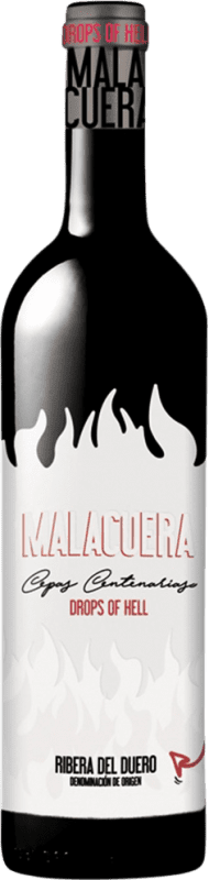 44,95 € Envoi gratuit | Vin Rouge Malacuera Seco — Sec Cepas Centenarias — Vignes Centenaires D.O. Ribera del Duero Castille et Leon Espagne Tempranillo 75 cl