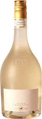 21,95 € 免费送货 | 白起泡酒 Tenuta Ulisse Frizzante — 微起泡 意大利 75 cl