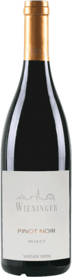 37,95 € Free Shipping | Red Wine Wieninger Selection D.A.C. Wien Viena Austria Pinot Noir 75 cl