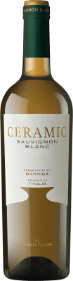 29,95 € 送料無料 | 白ワイン Vicente Gandía Ceramic スペイン Sauvignon — ソーヴィニヨン マグナムボトル 1,5 L