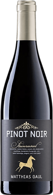 39,95 € 免费送货 | 红葡萄酒 Matthias Gaul Steinrassel Trocken — 干型 Q.b.A. Pfälz 普法尔茨 德国 Pinot Noir — 黑皮诺 75 cl