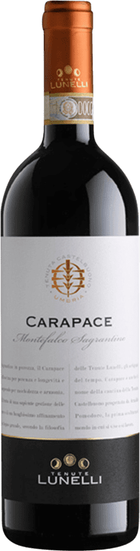 51,95 € 送料無料 | 赤ワイン Castelbuono Carapace Trocken — 辛口 D.O.C.G. Sagrantino di Montefalco ウンブリア イタリア Sagrantino — サグランティーノ 75 cl