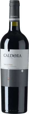 9,95 € Spedizione Gratuita | Vino Rosso Fantini Caldora Trocken — Secco I.G.T. Terre di Chieti Abruzzo Italia Sangiovese 75 cl