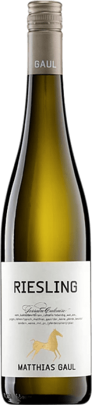 15,95 € 免费送货 | 白葡萄酒 Matthias Gaul Terrain Calcaire Trocken — 干型 Q.b.A. Pfälz 普法尔茨 德国 Riesling — 雷司令 75 cl