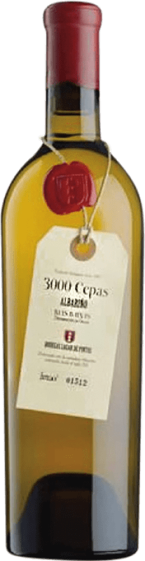 18,95 € 送料無料 | 白ワイン Lagar de Pintos 3000 Cepas D.O. Rías Baixas ガリシア スペイン Albariño — アルバリーニョ 75 cl