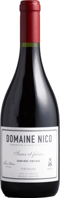 49,95 € Envoi gratuit | Vin Rouge Domaine Nico Grande Mère I.G. Mendoza Mendoza Argentine Pinot Noir 75 cl