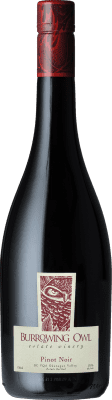48,95 € Spedizione Gratuita | Vino Rosso Burrowing Owl V.G.A. Okanagan Valley Canada Pinot Nero 75 cl