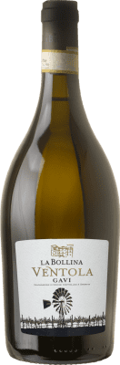 25,95 € Free Shipping | White Wine La Bollina Ventola D.O.C.G. Cortese di Gavi Piemonte Italy Cortese 75 cl