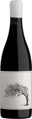 53,95 € Envío gratis | Vino Tinto Savage Girl Next Door I.G. Cape Town Sudáfrica Syrah 75 cl