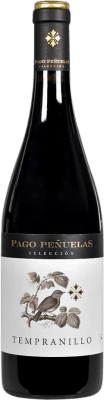 6,95 € Envío gratis | Vino tinto Vinícola de Castilla Pago Peñuelas I.G.P. Vino de la Tierra de Castilla Castilla la Mancha España Tempranillo Botella 75 cl