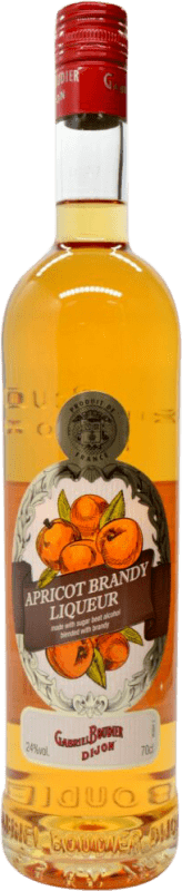 26,95 € Free Shipping | Spirits Gabriel Boudier Apricot Brandy France Bottle 70 cl