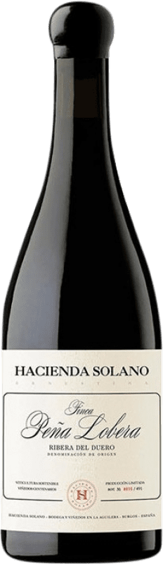 191,95 € Envío gratis | Vino tinto Hacienda Solano Finca Peña Lobera España Botella Magnum 1,5 L