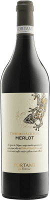 16,95 € Envío gratis | Vino Tinto Fortant de France Terroir d'Altitude Seco I.G.P. Vin de Pays d'Oc Burdeos Francia Merlot 75 cl