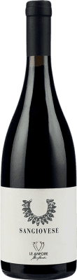 45,95 € Envío gratis | Vino Tinto Le Anfore di Elena Casadei I.G.T. Toscana Toscana Italia Sangiovese 75 cl