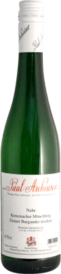 12,95 € Envio grátis | Vinho branco Paul Anheuser Seco Q.b.A. Nahe Nahe Alemanha Pinot Cinza Garrafa 75 cl