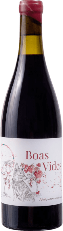 21,95 € Envio grátis | Vinho tinto Boas Vides D.O. Ribeiro Galiza Espanha Sousón, Touriga Nacional, Espadeiro, Brancellao Garrafa 75 cl