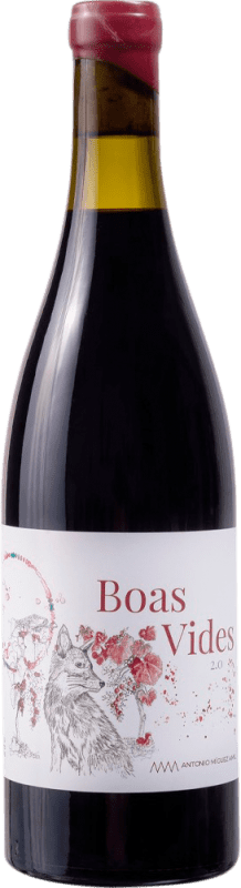 29,95 € 免费送货 | 红葡萄酒 Boas Vides Sobranceiro D.O. Ribeiro 加利西亚 西班牙 Garnacha — 歌海娜, Caíño — 卡伊尼奥 75 cl