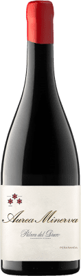 81,95 € Envoi gratuit | Vin rouge Norte de España - CVNE Cune Áurea Minerva Crianza D.O. Ribera del Duero Espagne Tempranillo Bouteille 75 cl