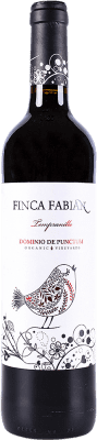 9,95 € Envío gratis | Vino tinto Punctum Finca Fabián Tinto I.G.P. Vino de la Tierra de Castilla España Tempranillo Botella 75 cl