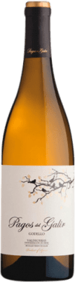 15,95 € Бесплатная доставка | Белое вино Virxe de Galir Pagos D.O. Valdeorras Испания Godello бутылка 75 cl