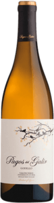 16,95 € Free Shipping | White Wine Virxe de Galir Pagos D.O. Valdeorras Spain Godello 75 cl