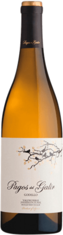 15,95 € Envoi gratuit | Vin blanc Virxe de Galir Pagos D.O. Valdeorras Espagne Godello Bouteille 75 cl