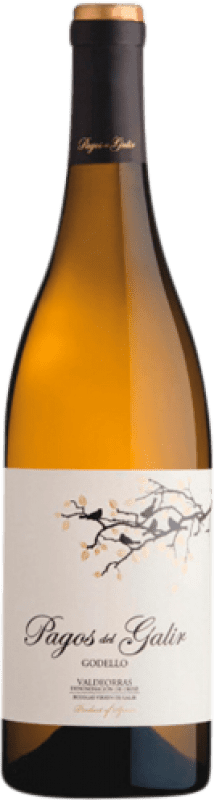 16,95 € Envio grátis | Vinho Branco Virxe de Galir Pagos D.O. Valdeorras Espanha Godello 75 cl