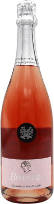 14,95 € Envío gratis | Espumoso rosado Bodegas Escudero Bécquer Rosado Brut D.O. Cava España Pinot Negro Botella 75 cl