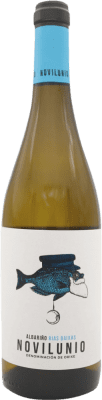 13,95 € Envío gratis | Vino Blanco Miño Novilunio D.O. Rías Baixas España Albariño 75 cl