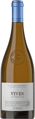 Juvé y Camps Viver d'Espiells Malvasia 75 cl